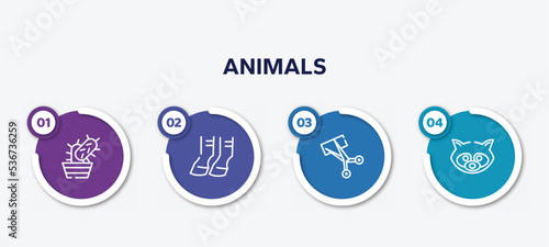infographic element template with animals outline icons such as cactus, hoof, trimming, raccoon vector.