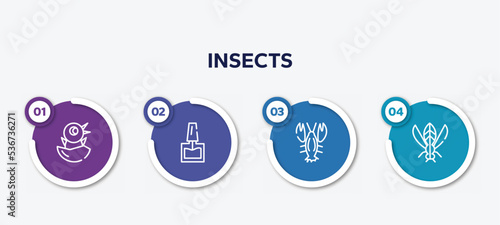 infographic element template with insects outline icons such as chick, nail polish, lobster, winged insect vector.