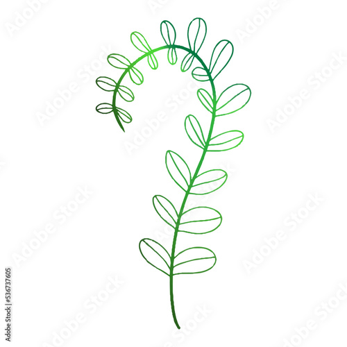 Green fern leaf in doodle style. Vector