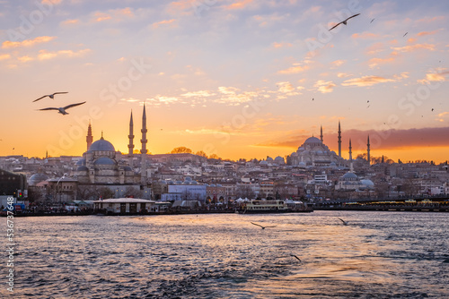 Atardecer Estambul Mezquitas de Yeni 
Cami y Suleiman Bósforo con  gaviotas y barca.