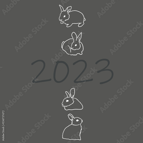 The black water rabbit is the symbol of 2023. Happy New Year!