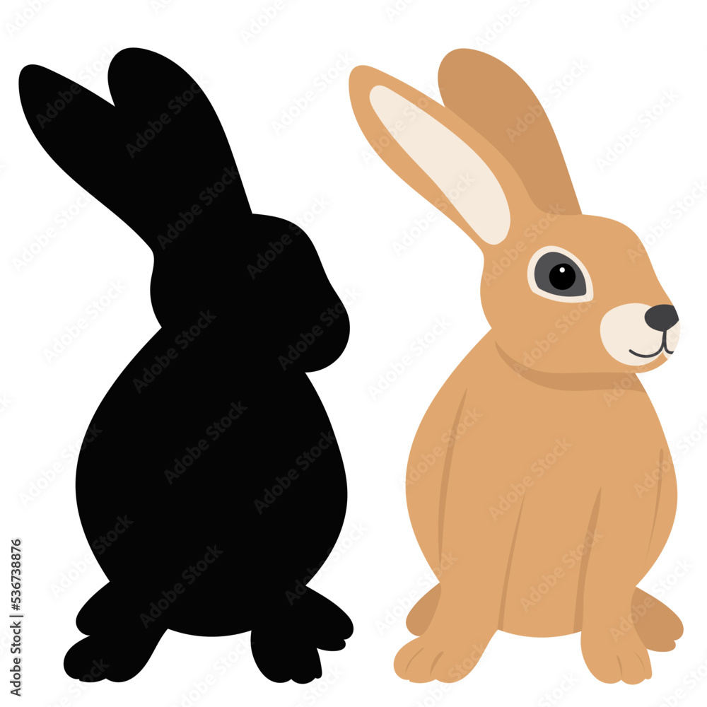 Fototapeta premium rabbit, hare on white background, isolated