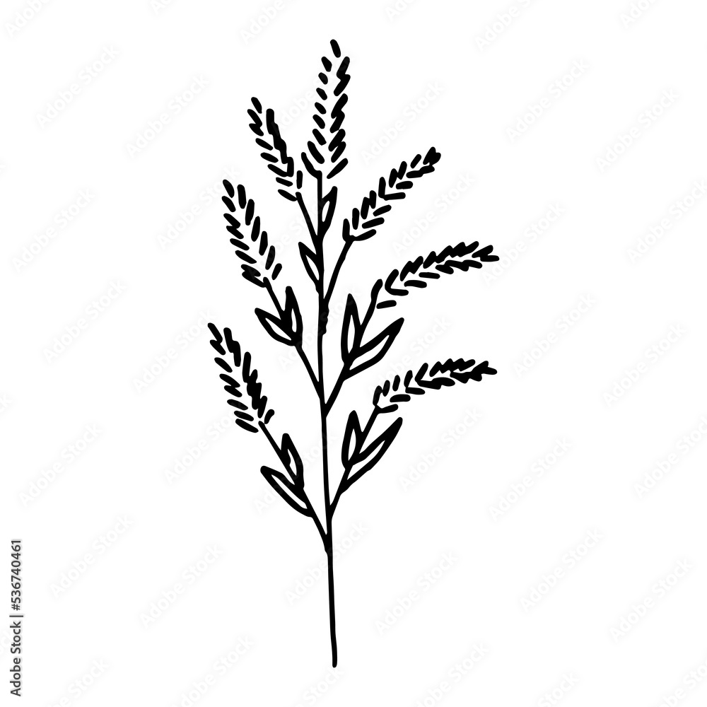 Flower one doodle contour silhouette dark line, no colors, isolated, element design. Flower one doodle contour silhouette dark line, no colors, isolated, element design.