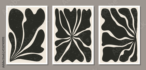 Set of Matisse style contemporary collage botanical minimalist wall art poster photo