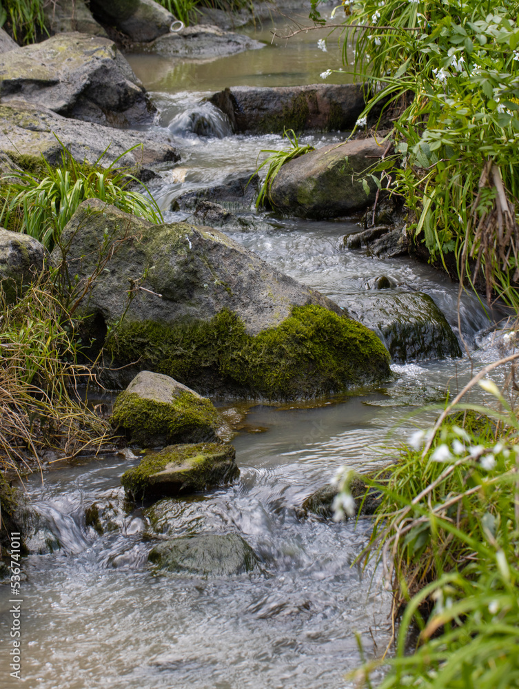 river creek in a Melbourne park running water rocks and plants river creek in a Melbourne park running water rocks and plants