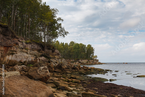 Baltic sea limestone rocky coast, cliff. Estonia.