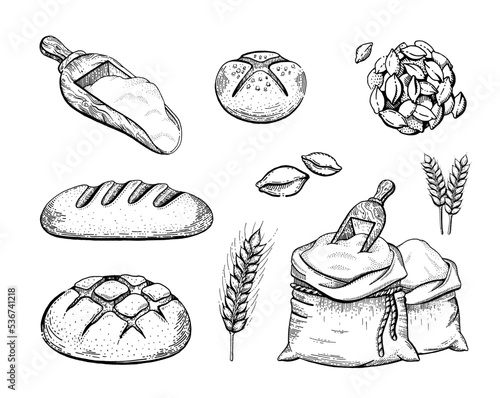 Bread sketch set Fototapet