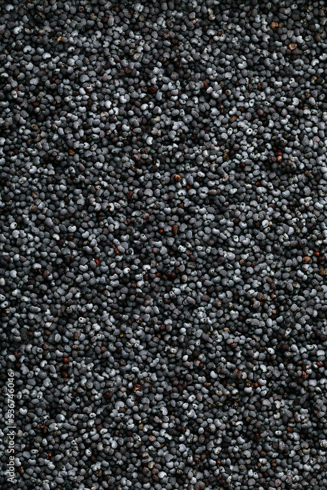 Poppy Seeds Background. Dark dry raw poppy seeds background. Abstract background Poppy Seeds Background. Dark dry raw poppy seeds background. Abstract background
