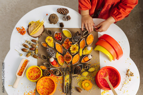 Child hands creating autumn tree with colored rice and natural materials. Toddler filled the leaves with yellow and orange rice. Montessori material. Sensory play and fall nature crafts photo