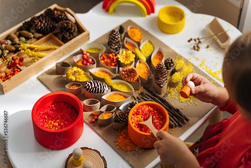 Child hands creating autumn tree with colored rice and natural materials. Toddler filled the leaves with yellow and orange rice. Montessori material. Sensory play and fall nature crafts