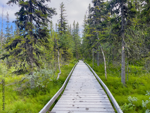 Wanderweg im Fulufjället Nationalpark in Schweden