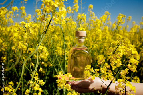 Rapeseed oil in a transparent glass bottle in hand on a background of rapeseed field