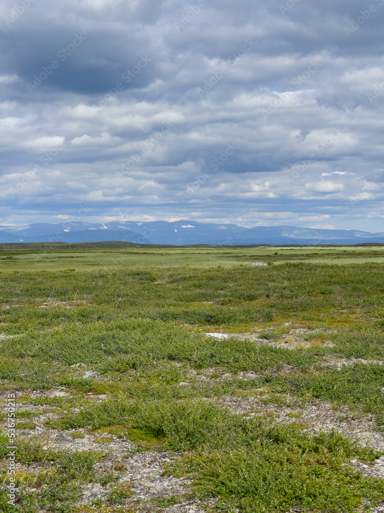 Landschaft am Flatruetvägen, Härjedalen, Jämtland, Schweden Landschaft am Flatruetvägen, Härjedalen, Jämtland, Schweden