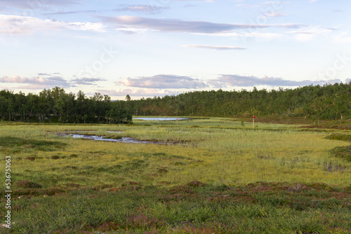 Landschaft am Flatruetvägen in Schweden