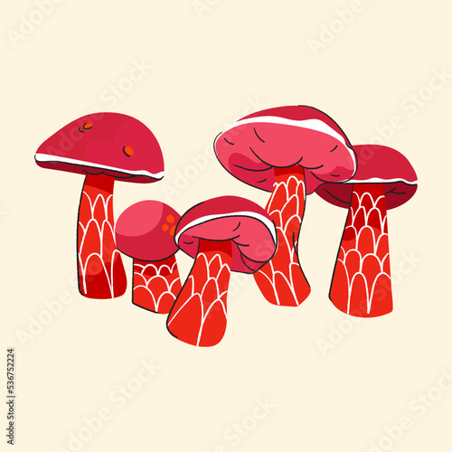 Red boletus frostii mushroom vector set isolated on beige background. Autumn apple bolete fungus flat cute illustration