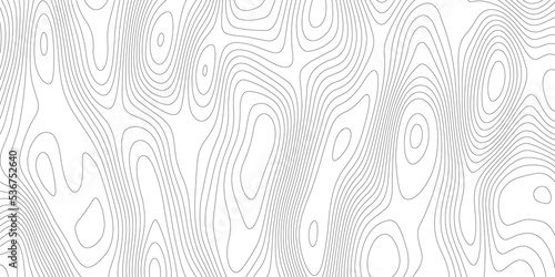 Topographic contour map. Vector cartography illustration. Topography and geography map grid abstract backdrop. Business concept. Fish Fillet Texture, Salmon fillet texture, fish pattern. paper texture