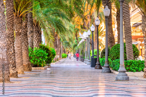 Slika na platnu The Esplanade boulevard in Alicante, Spain