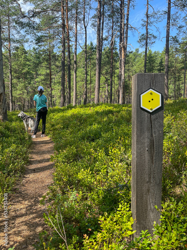 Wandern im Store Mosse Nationalpark in Schweden photo