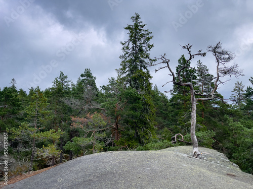 Tiveden Nationalpark photo