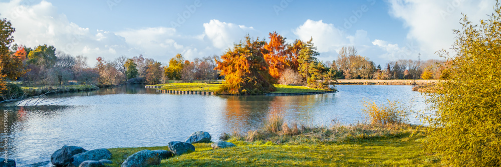 Colored bald cypress trees on an island and artificial pond in the Parc Floral in Bordeaux, France