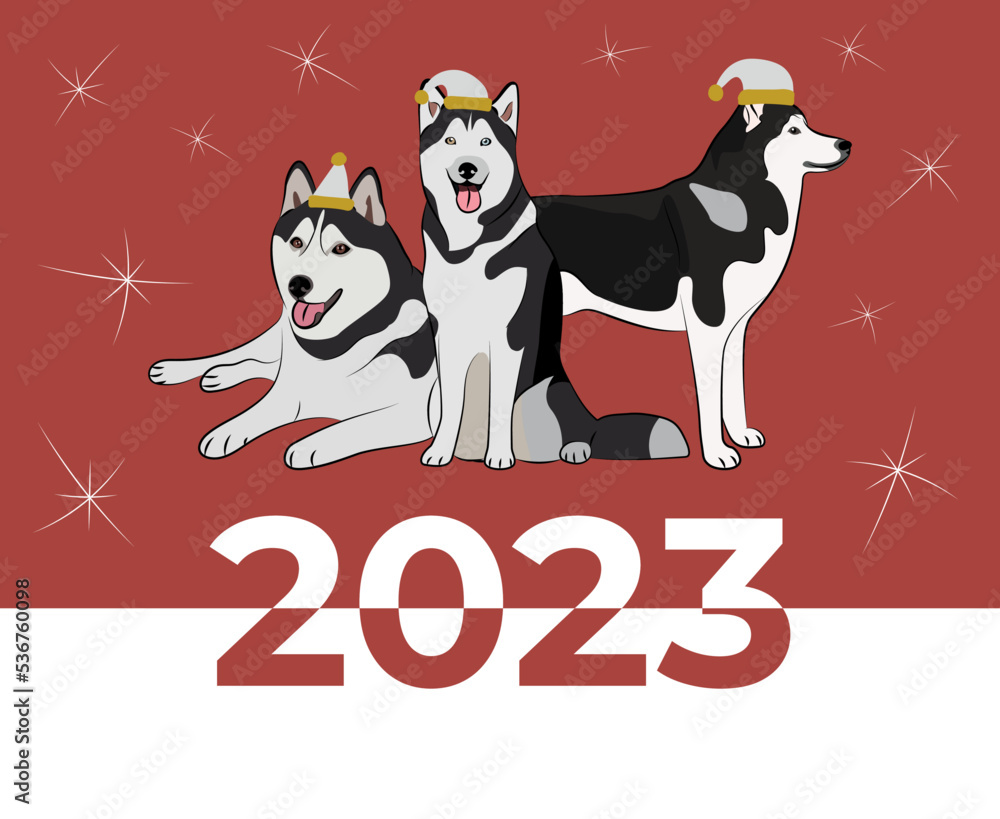 Fototapeta premium Husky dog drawing. Cute dog characters in various poses, designs for prints, adorable and cute. Christmas husky breed dog cartoon vector set, in different poses. New year poster, symbol.