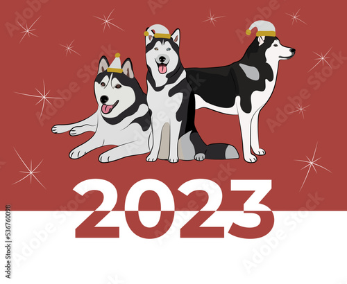Husky dog drawing. Cute dog characters in various poses, designs for prints, adorable and cute. Christmas husky breed dog cartoon vector set, in different poses. New year poster, symbol.