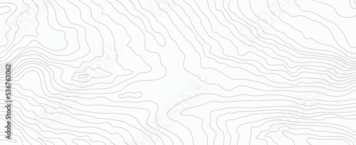 Seamless wooden pattern. Wood grain texture. Dense lines. Abstract white background. Vector illustration
