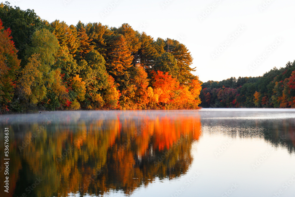 Obraz premium Beautiful New England Fall Foliage with water reflections at sunrise , Boston Massachusetts.