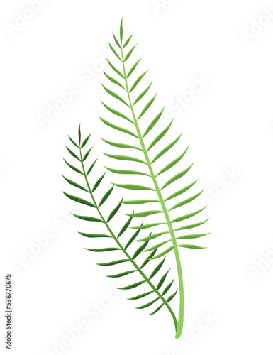 Tropical leaves plant. Exotic foliage. Green decorative jungle plant.  hand drawn botanical graphic element