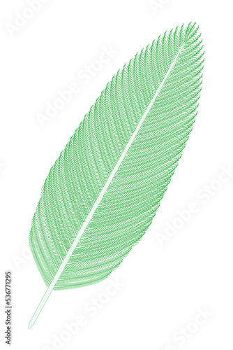 Bird Feather  green . Vector illustration.