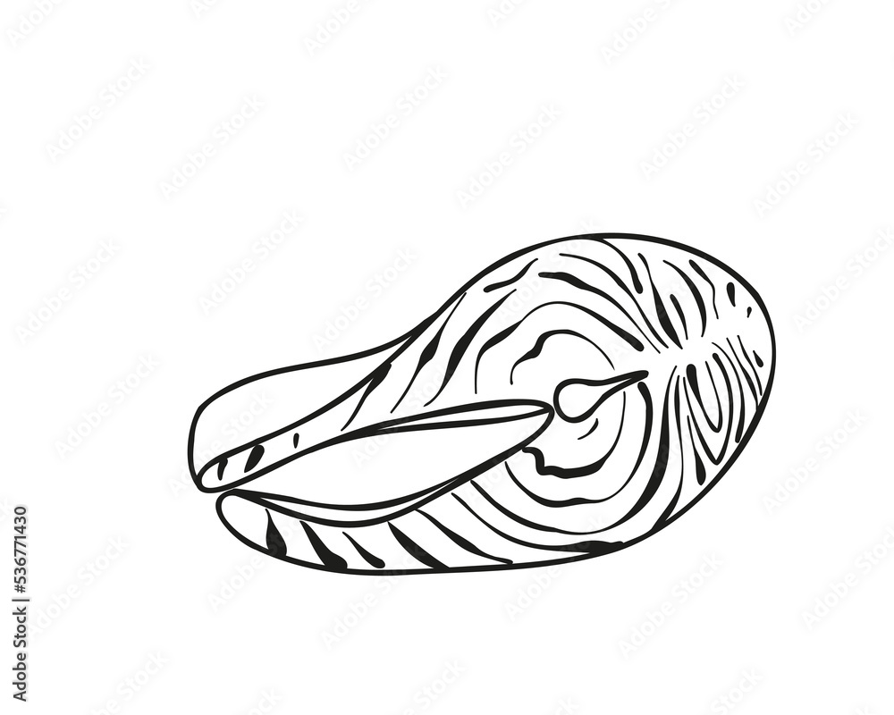 Doodle style red fish steak, salmon. Flat vector illustration isolated on white background. Doodle style red fish steak, salmon. Flat vector illustration isolated on white background.