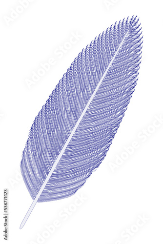 Bird Feather  blue . Vector illustration.