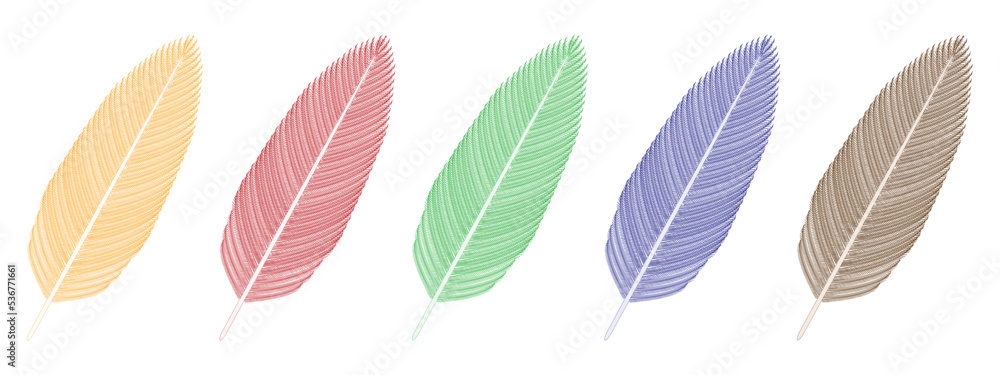 Bird Feathers (yellow, red, green, blue and gray). Vector illustration. Bird Feathers (yellow, red, green, blue and gray). Vector illustration.