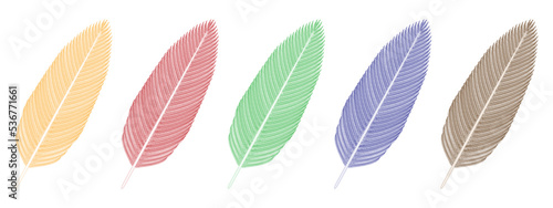 Bird Feathers (yellow, red, green, blue and gray). Vector illustration.