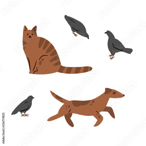 cat, dog, pigeons vector illustrations in flat style clipart
