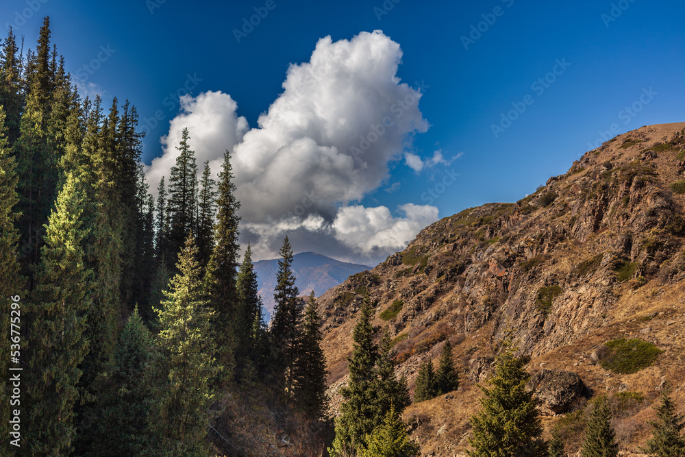 Obraz premium landscape with sky