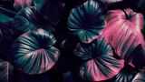 tropical foliage, blue and pink color toned