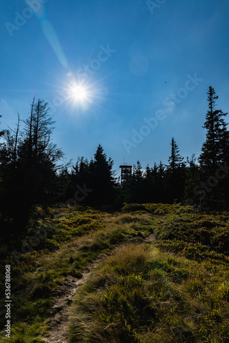 Beautiful sunny day in Golden Mountains full of trees and bushes photo