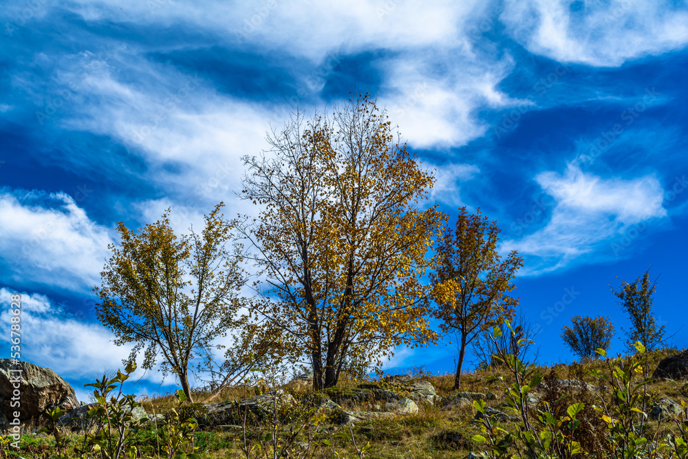 Obraz premium I primi colori dell’autunno ai piedi del Monviso – Rifugio e Lago Alpetto – Valle Po -Cuneo