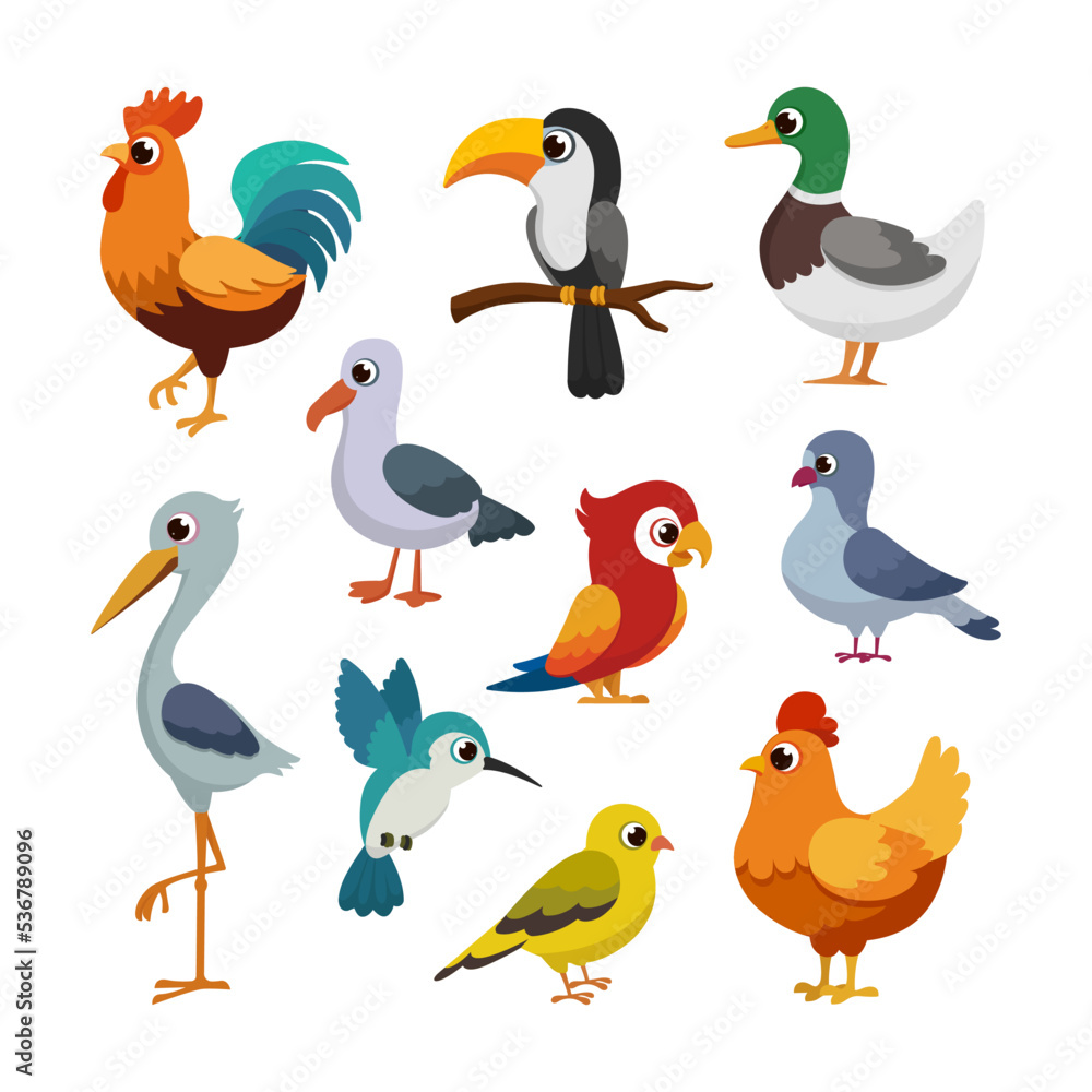 Fototapeta premium Kind different Bird and Poultry animal for kids education cartoon style