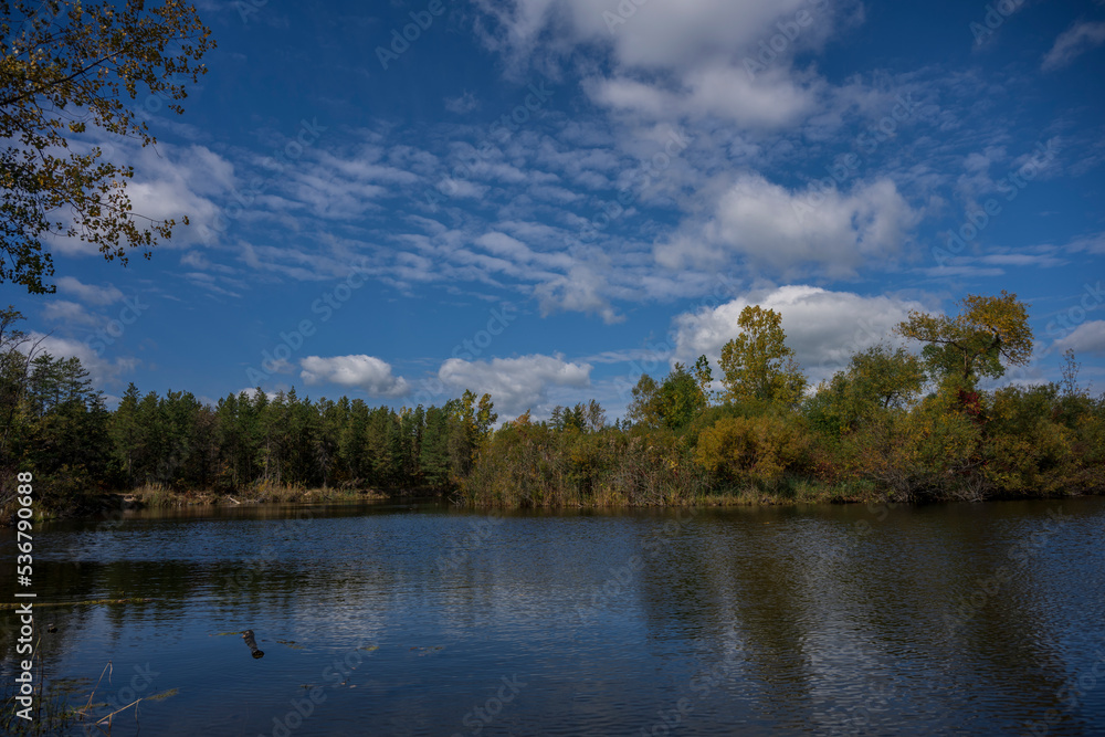 Lake in a sunny day