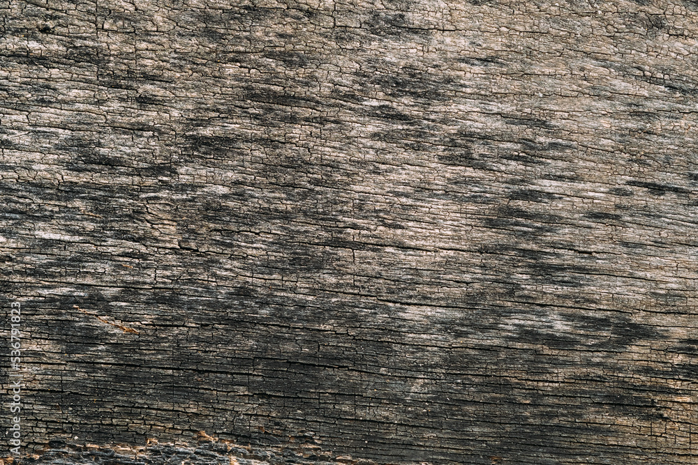 Fototapeta premium Aged texture. Wooden board. Shabby background. Grunge dark desk surface with black shell of paint cover copy space for text logo.