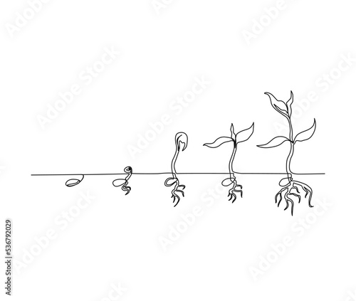 Continuous line art drawing of plant growing process. Plant growth processing start from bean seed single line art drawing vector illustration.