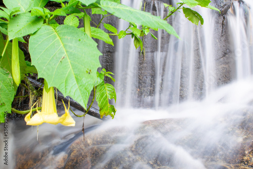a small waterfall, water gently flowing in a stream, in the forest