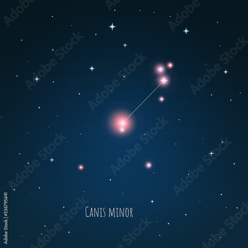 Constellation Canis Minor on the background of starry sky. Constellation scheme collection Vector illustration	