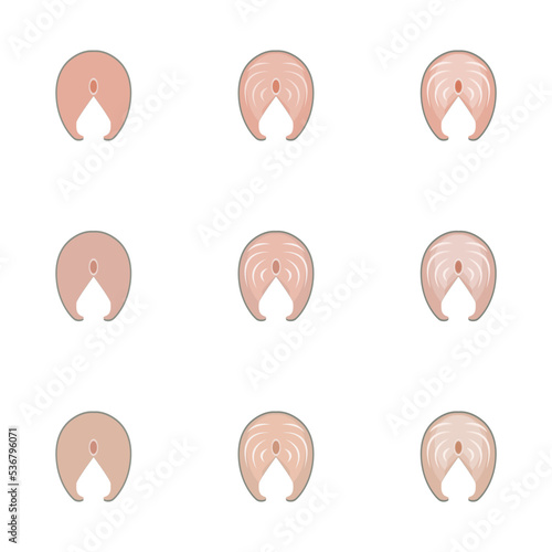 A vector drawn herring meat illustration with various colors and amount of details