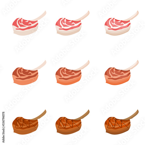 A vector drawn lamb chop illustration with various colors and amount of details