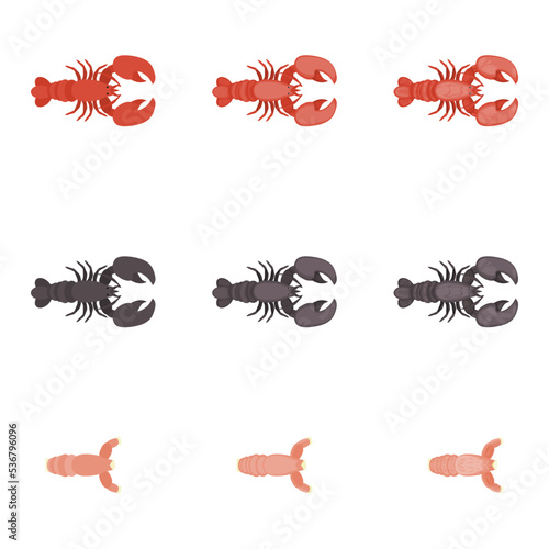 A vector drawn lobster illustration with various colors and amount of details © Aleksandar