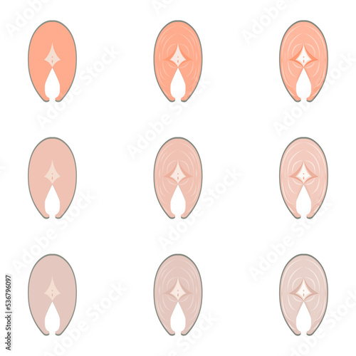 A vector drawn mackerel meat illustration with various colors and amount of details