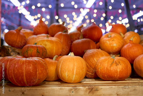 autumn harvest concept. Bunch of appetizing orange pumpkins on wood table  backdrop bokeh blurred light bulbs and purple light. thanksgiving day  helloween  counter for sale  Horizontal  front view